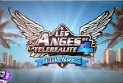 Sur quelle chaîne peut-on voir cette émission ou ce jeu ?