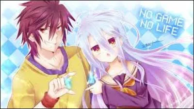 Qui est Sora ? (le garçon à côté de Shiro sur la photo)