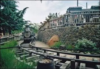 Combien de train peuvent être utilisés en même temps ?