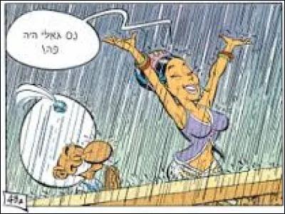Dans "Astérix chez Rahazade", quel habitant du village s'envole avec Astérix et Obélix sur le tapis volant ?