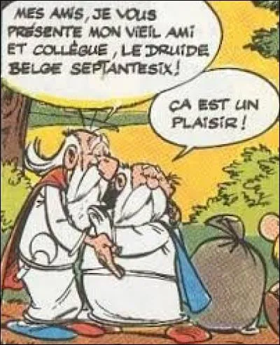 Dans "Astérix et les Goths", que gagne Panoramix au concours du meilleur druide de l'année ?