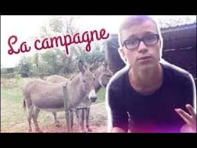 Quelle est sa régularité ?