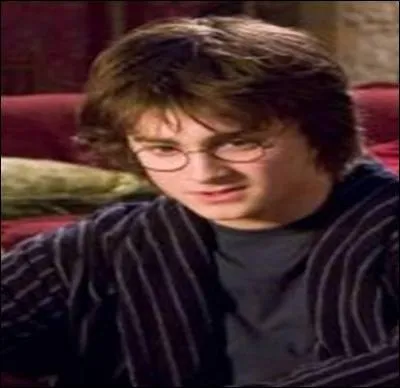 Mais o peut bien se trouver Harry ?