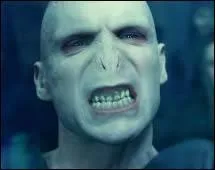 Qu'est-il en train d'arriver  Voldemort ?