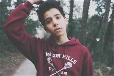Sulivan est-il gay ?