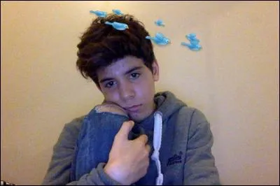 L'animal préféré de Sulivan est...