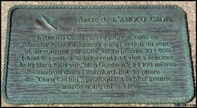 Terminons ce quiz par une activité sexuelle, c'est très demandé ces temps-ci !