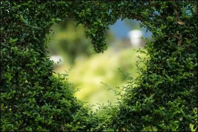 Quelles noces fêterez-vous au bout de 100 ans de mariage et d'amour ?