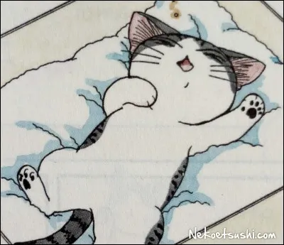 Où la famille retrouve-t-elle Chi ?