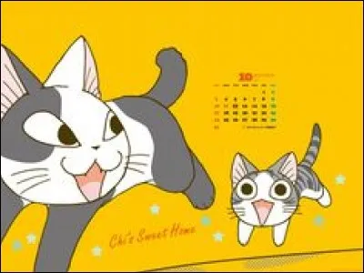 Qui est l'ami noir et blanc de Chi ?