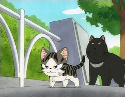 Qui est le chat qui a fait peur à toute la famille ?