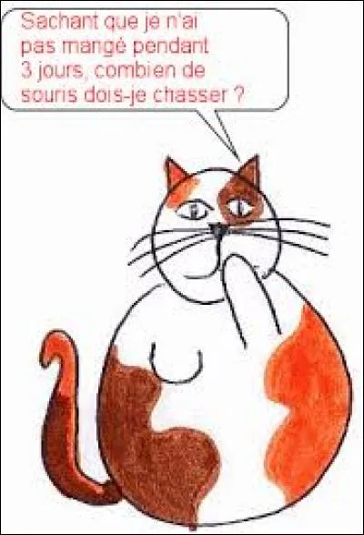 Il faut semer 30 graines de salade dans des pots (6 petits et 2 grands). Un grand pot doit contenir 2 fois plus de graines qu'un petit pot. Combien de graines contiendra un petit pot ?