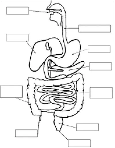De fa&ccedil;on m&eacute;canique, cette op&eacute;ration (cf.Q1) se fait par :