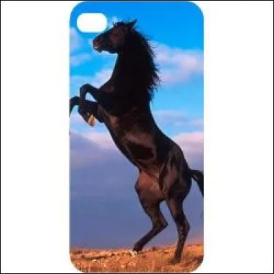 Que fait ce cheval ?