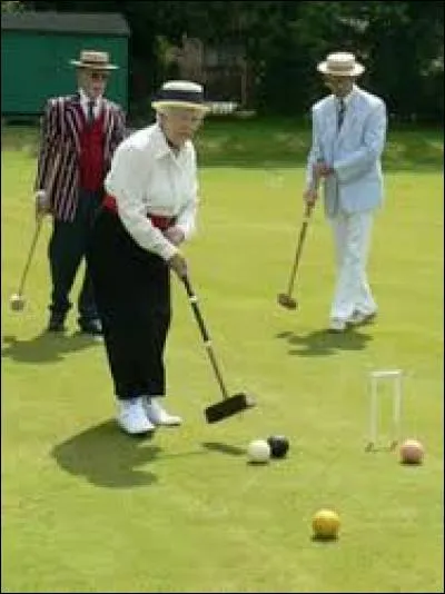 Comment s'appelle le jeu de boules présenté sur la photo ?