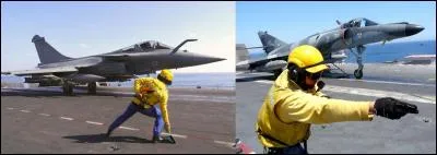 Dans la marine nationale (et d'autres), il y a quelques membres d'équipage qui pourraient faire partie du monde animalier. En France, ils sont très peu nombreux. Ils se sont mis en valeur (surtout) pendant la 2e Guerre mondiale, avec les combats de l'aéronavale US dans le Pacifique.
Quels sont leur surnom ?