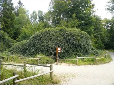 Nom régional du hêtre :