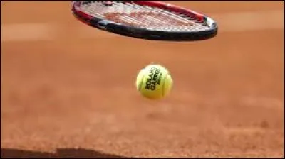 Quel joueur a gagné Roland Garros 2015 ?