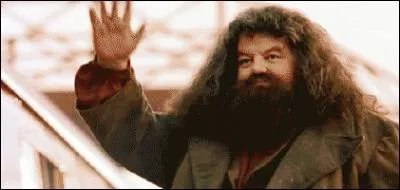 Qui est Hagrid ?