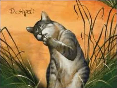 Qui est amoureuse de Pelage de Poussière ?