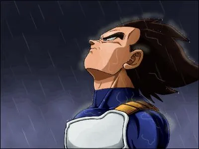 Quel est le handicap de Vegeta ?