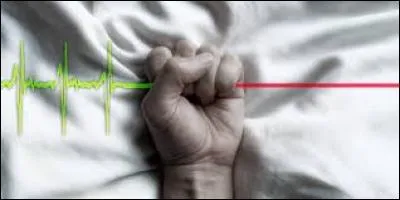 Vrai ou faux ?
L'euthanasie n'est pas interdite chez les animaux.