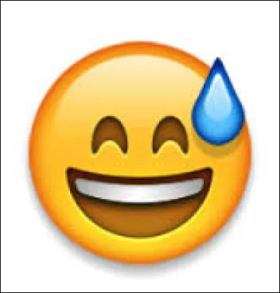 Que veut dire ce smiley ?