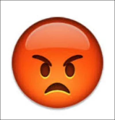 Que veut dire ce smiley ?