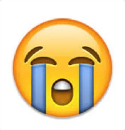 Que veut dire ce smiley ?