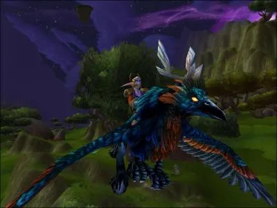 Quel est le nom de cette monture (fly ) ?