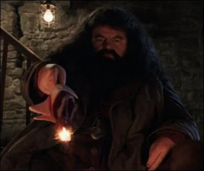 Quand Hagrid entre dans le refuge des Dursley, quelle est la première chose qu'il demande ?
