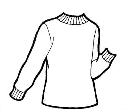 Comment est l'ancien pull de Dudley, qu'Harry a fait rapetisser quand sa tante essayait de lui mettre ?