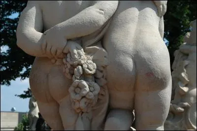 Complétez cette expression : "Comme un pet sur..."