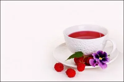 Comment dit-on "pet" en anglais ?