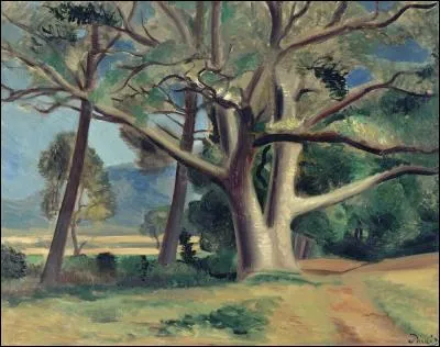 On monterait volontiers dans ce gros arbre ! De qui est-il ?