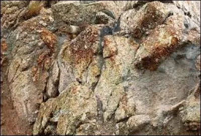 Quel animal y a-t-il à la question 2 ?