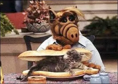 Ce célèbre extraterrestre, provenant de la planète Melmac, est un grand amateur de chat en guise de collation... Personnage d'une fameuse série des années 80, il s'appelle :