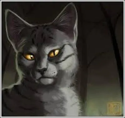 Qui était le deuxième mentor de Pelage de Poussière ?