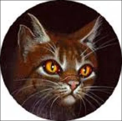 Quand Griffe de Tigre est banni, le suit-il ?