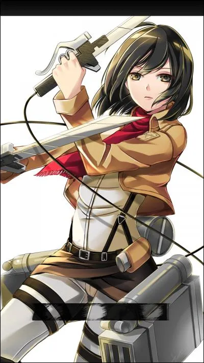 Mikasa Ackerman vient de l'anime ...