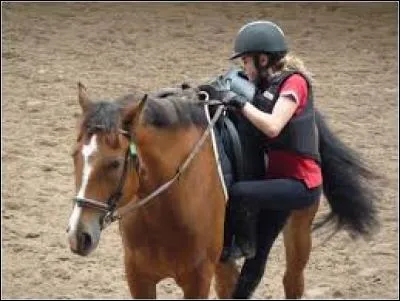 Avant de monter à cheval, on...