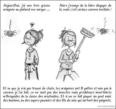 Quel YouTubeur a publié une vidéo où il chante à propos d'une araignée dans la salle de bains ?