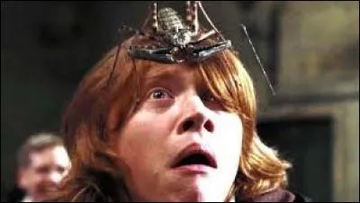 Dans quel film de la saga "Harry Potter" découvre-t-on que Ron a la phobie des araignées ?