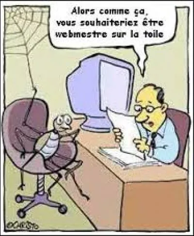 De quoi est faite la toile d'araignée ?