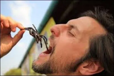 Dans quel pays mange-t-on des araignées grillées ?
