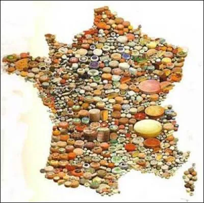 "Comment voulez-vous gouverner un pays avec plus de 300 sortes de fromages ! " 
De qui est cette citation ?