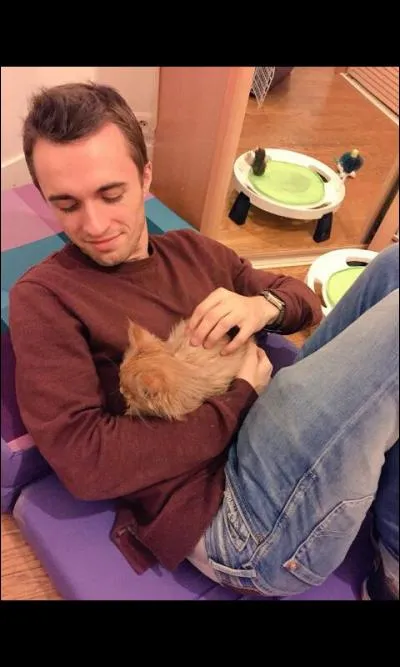 Comment s'appelle le chat de Squeezie qui est mort ?