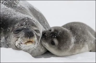 Dans quel département se situe la commune de Bizou ?