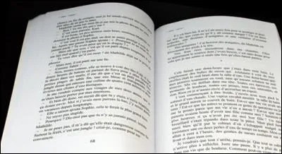 Trouvez la bonne image et vous pourrez tourner la page de ce roman !