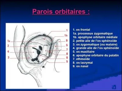 Citation célèbre, que vous n'avez pas oubliée !